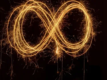 stink bugs in nature
