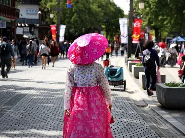 south korean birth rate decline