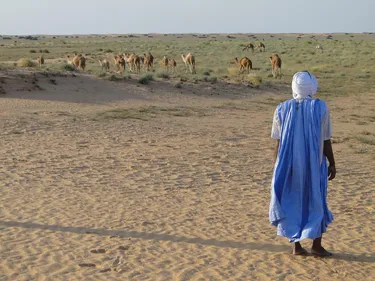 slavery in mauritania