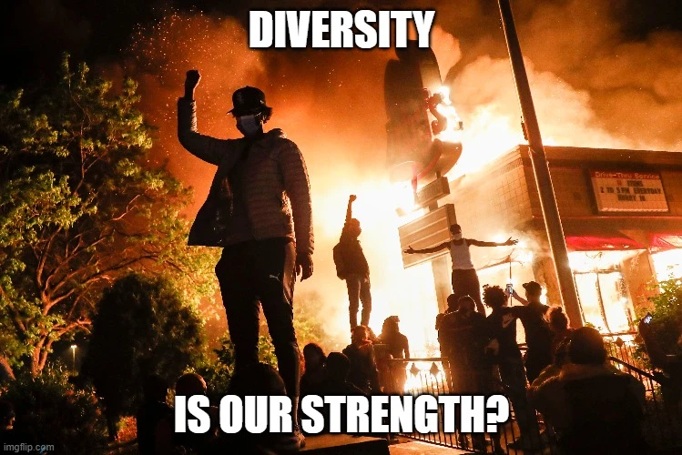diversity is our weakness memes george floyd riots diversity is our strength
