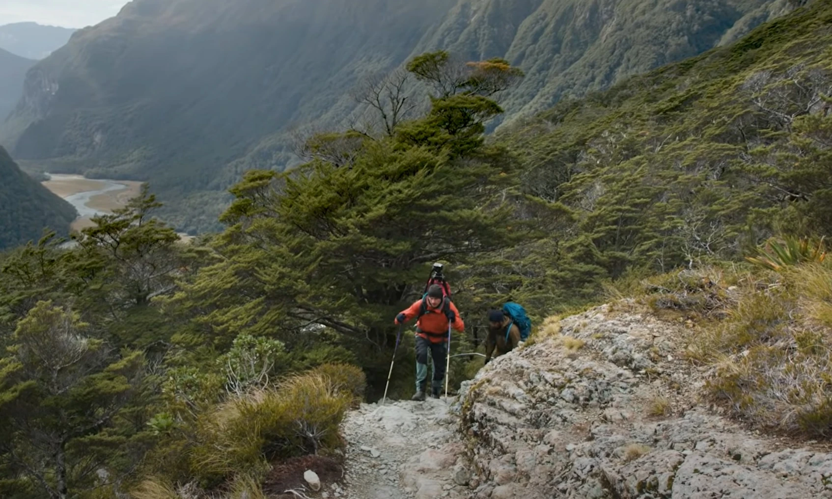 new zealand landscape routeburn track south island