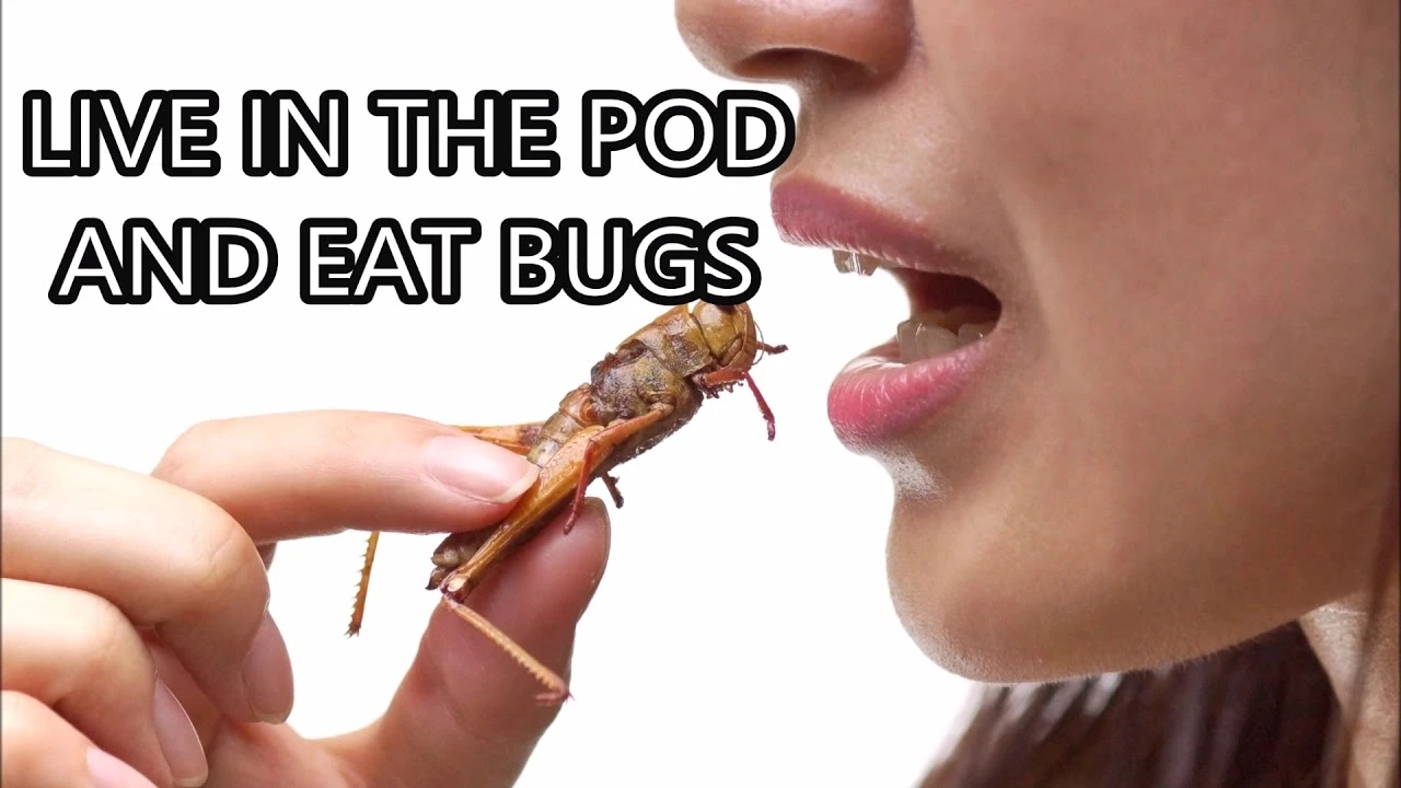 living in pods and eating bugs